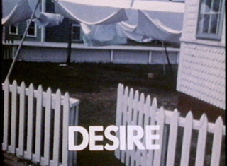 A film stlll from Ken Kobland’s “Landscape and Desire.”