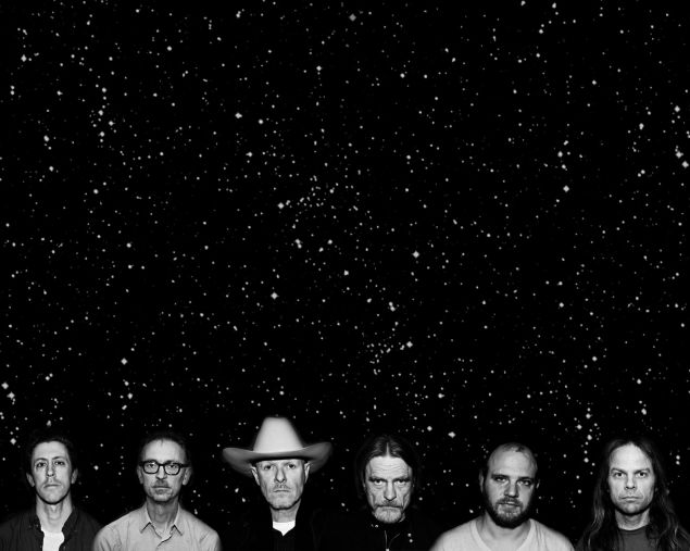 Swans.