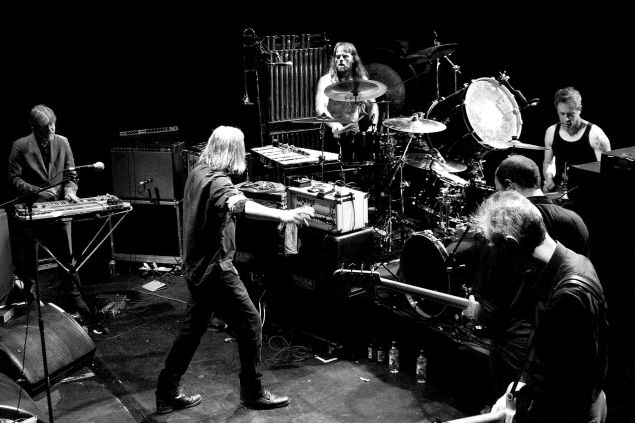 Swans.