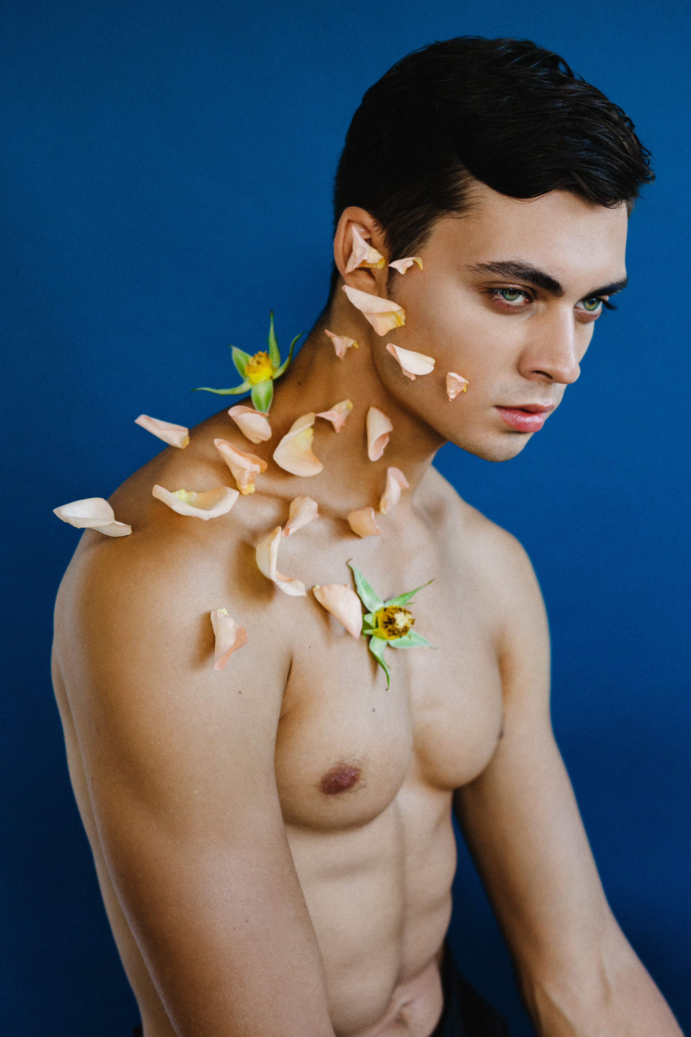 Bloom.