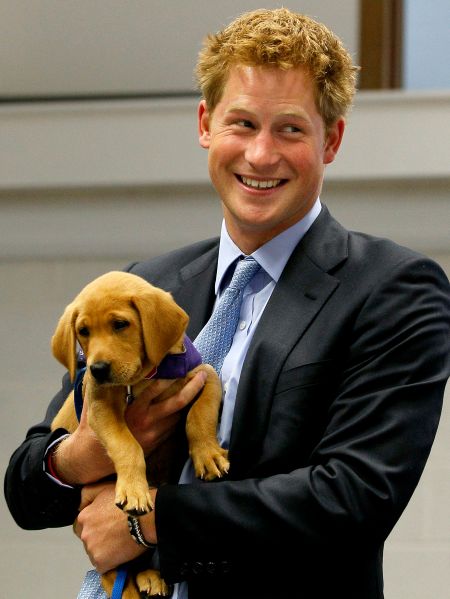 Prince Harry is notoriously an animal lover.