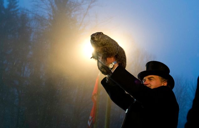 Groundhog handler John Griffiths holds Punxsutawney Phil after he saw his shadow predicting six more weeks of winter during 128th annual Groundhog Day festivities on February 2, 2014 in Punxsutawney, Pennsylvania.