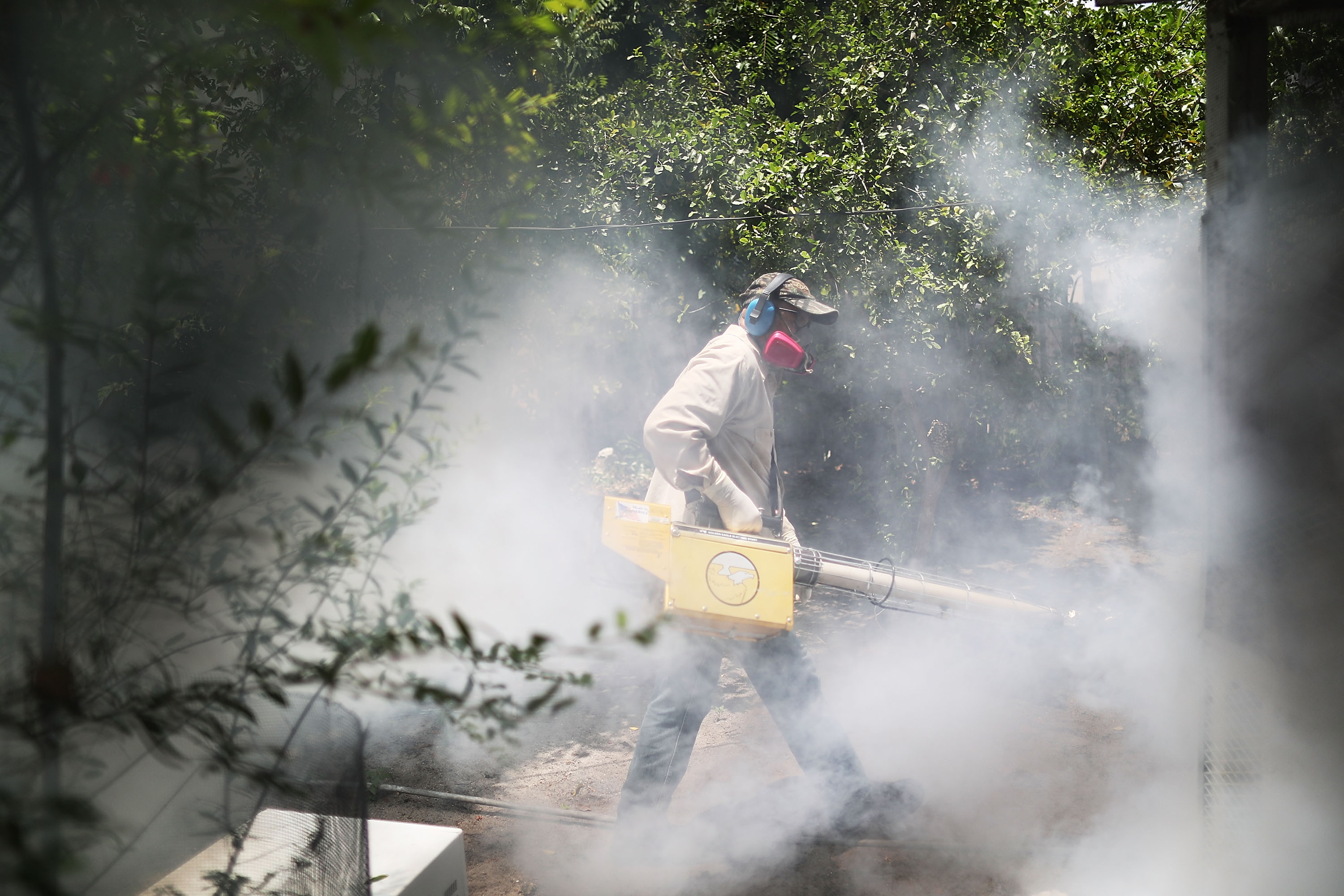Wynwood, a Miami neighborhood, continues to fight to control the Zika virus outbreak on August 2, 2016.