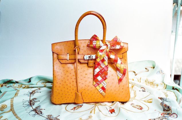 Wen-Cheng Liu/WikiCommons Hermes Ostrich Birkin in Film 30cm