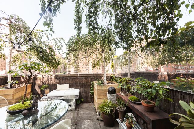 The green space, high above Chelsea