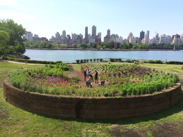 Urban Forest Lab.