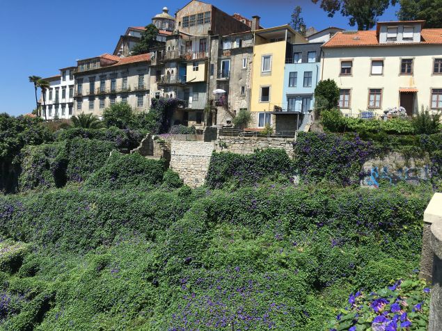 A stunning view of Porto, from a bike tour