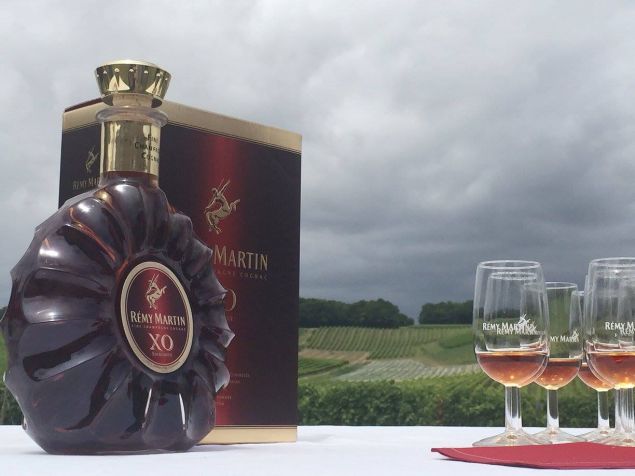 Rémy Martin has 80 percent market share of their variety of cognac.