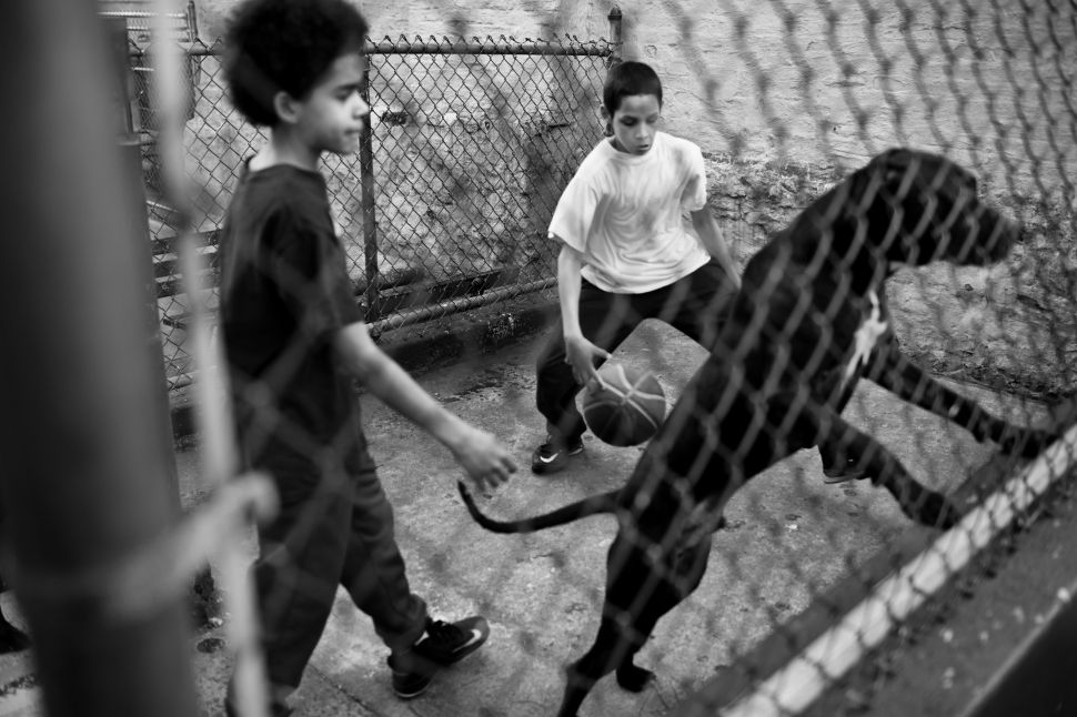 A dog jumps at passerbys on the road to St. Mary's park, a recreational center home to weekly events for the community.