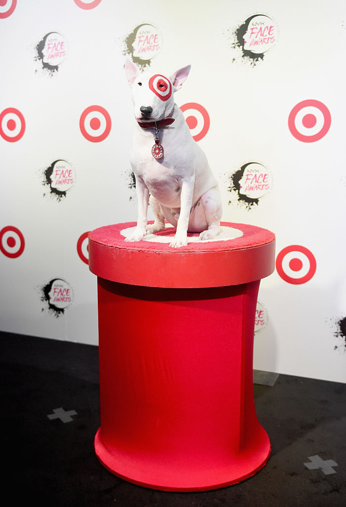 LOS ANGELES, CA - AUGUST 20: Bullseye attends the 5th Annual NYX FACE Awards on August 20, 2016 in Los Angeles, California.
