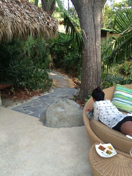 Spotting iguanas at Flor Blanca.