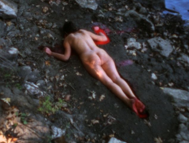 Ana Mendieta's Silueta Sangrienta 4.