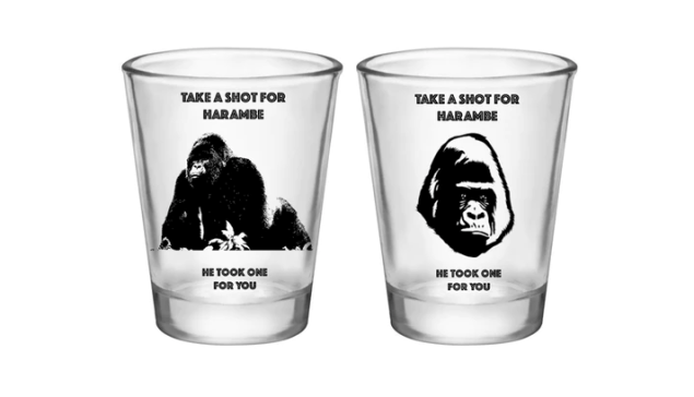 Now available on Kickstarter.