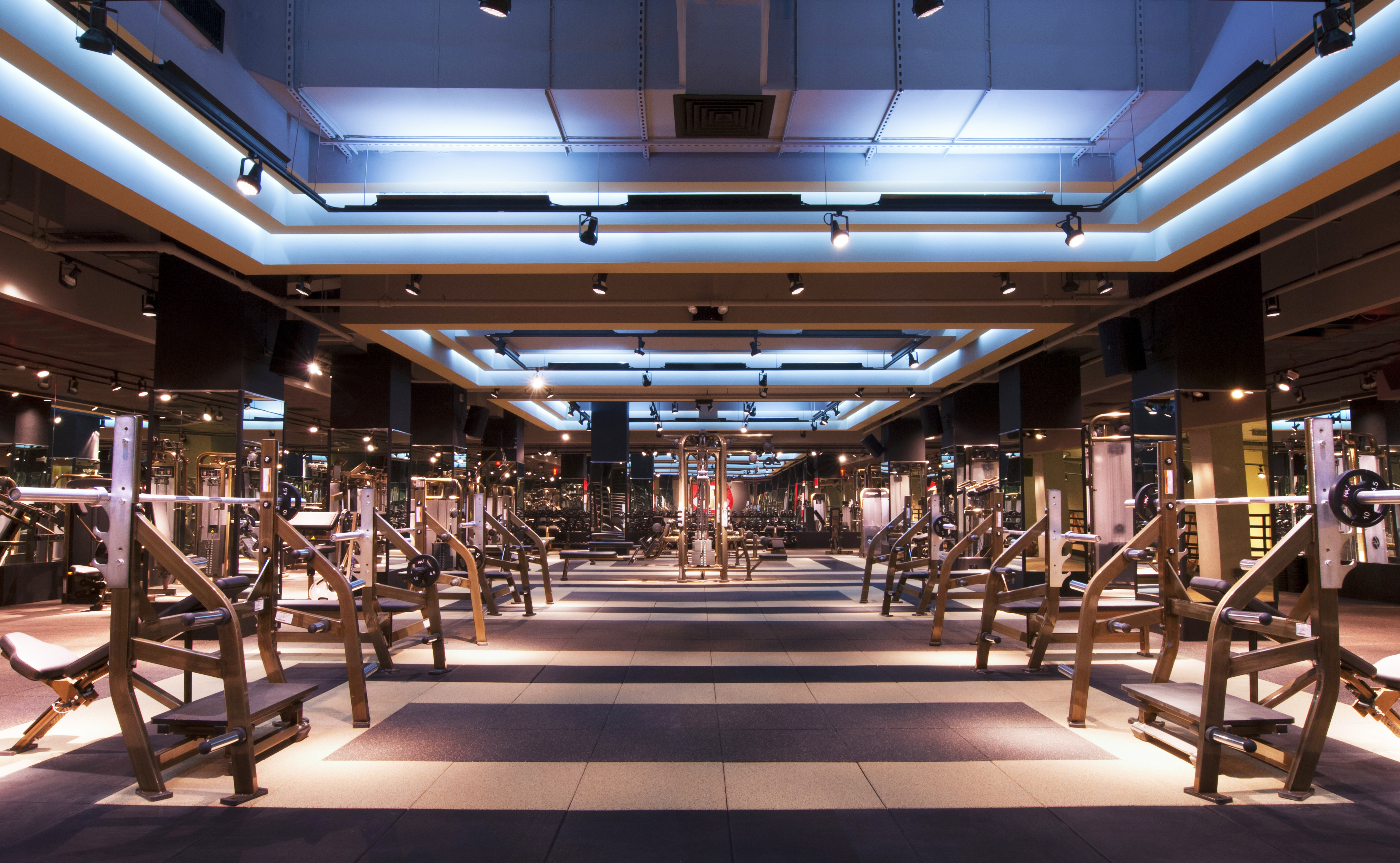 TMPL's main gym.