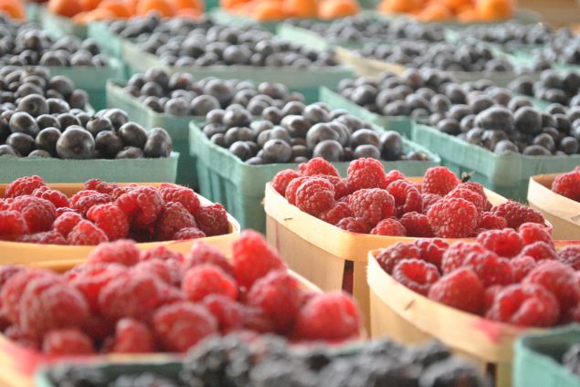 Berries are part of a anti-cancer diet.