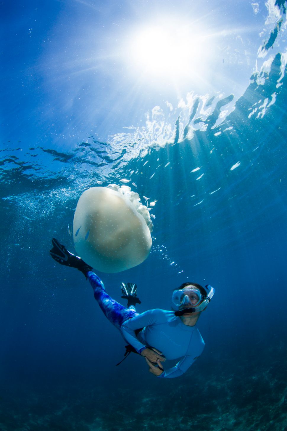 Celine Cousteau is getting along swimmingly.