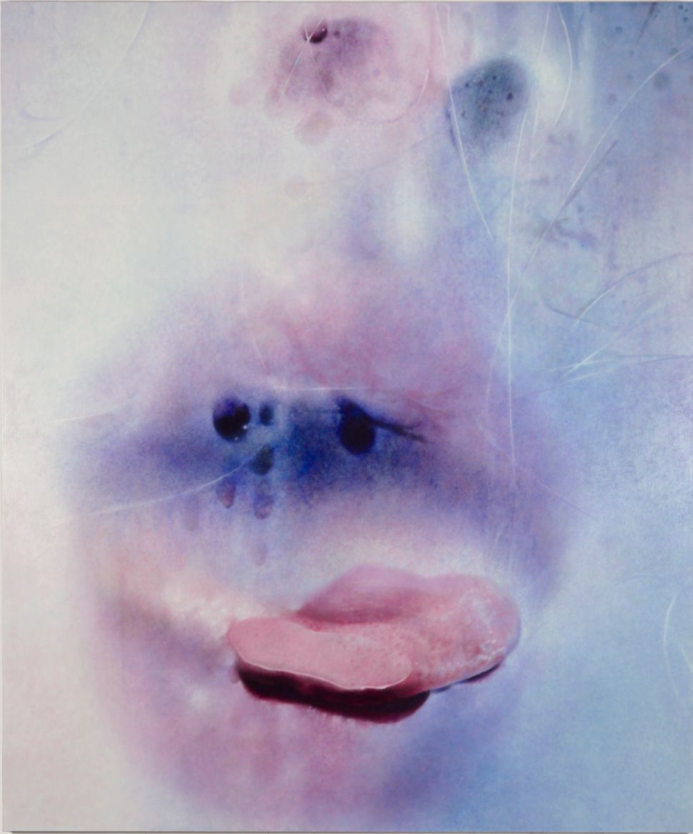Marilyn Minter, Deep Frost, 2016.
