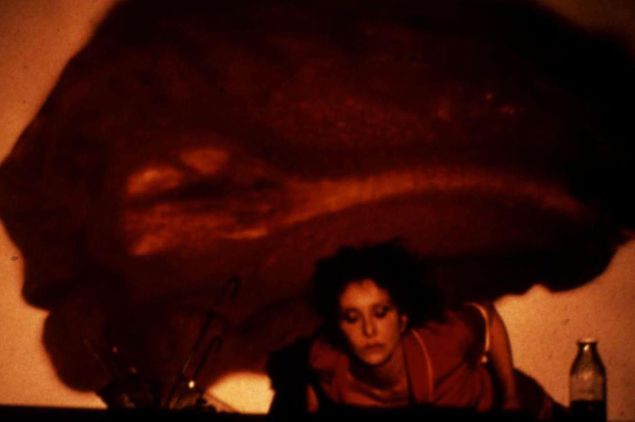Carolee Schneeman's Fresh Blood.