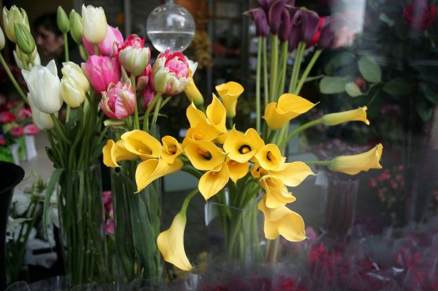 Learn to arrange!