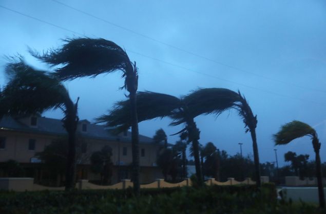Palm trees sway from the winds of Hurricane Matthew in Cocoa Beach, Florida.