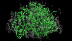 An electron density map of a protein with the protein threaded through the map, revealing how the protein folds.