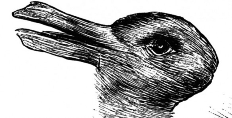 Is it a duck? Or a rabbit?