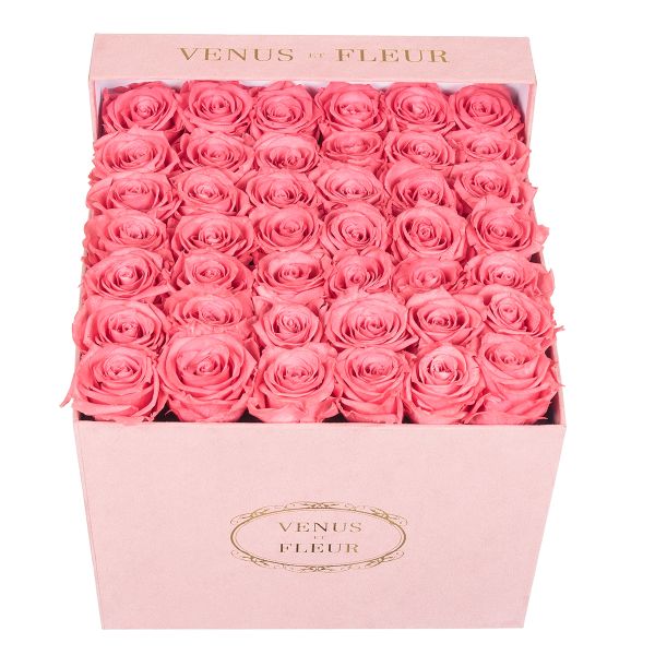 A sueded box of roses from Venus et Fleur.