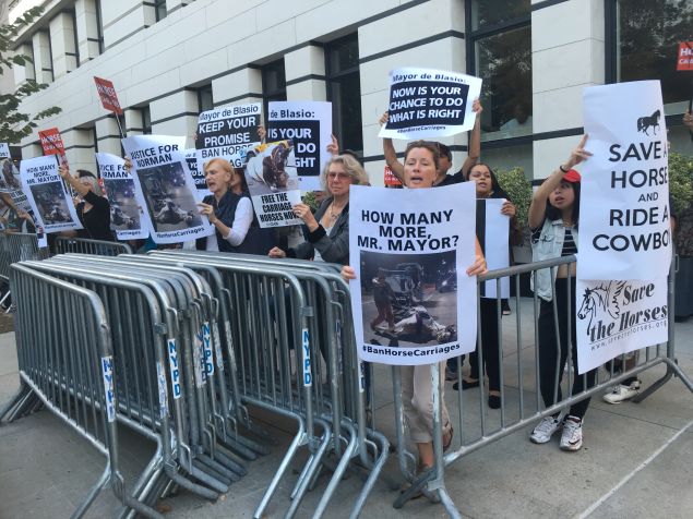 NYCLASS volunteers and animal rights activists protest across the street from Gracie Mansion.