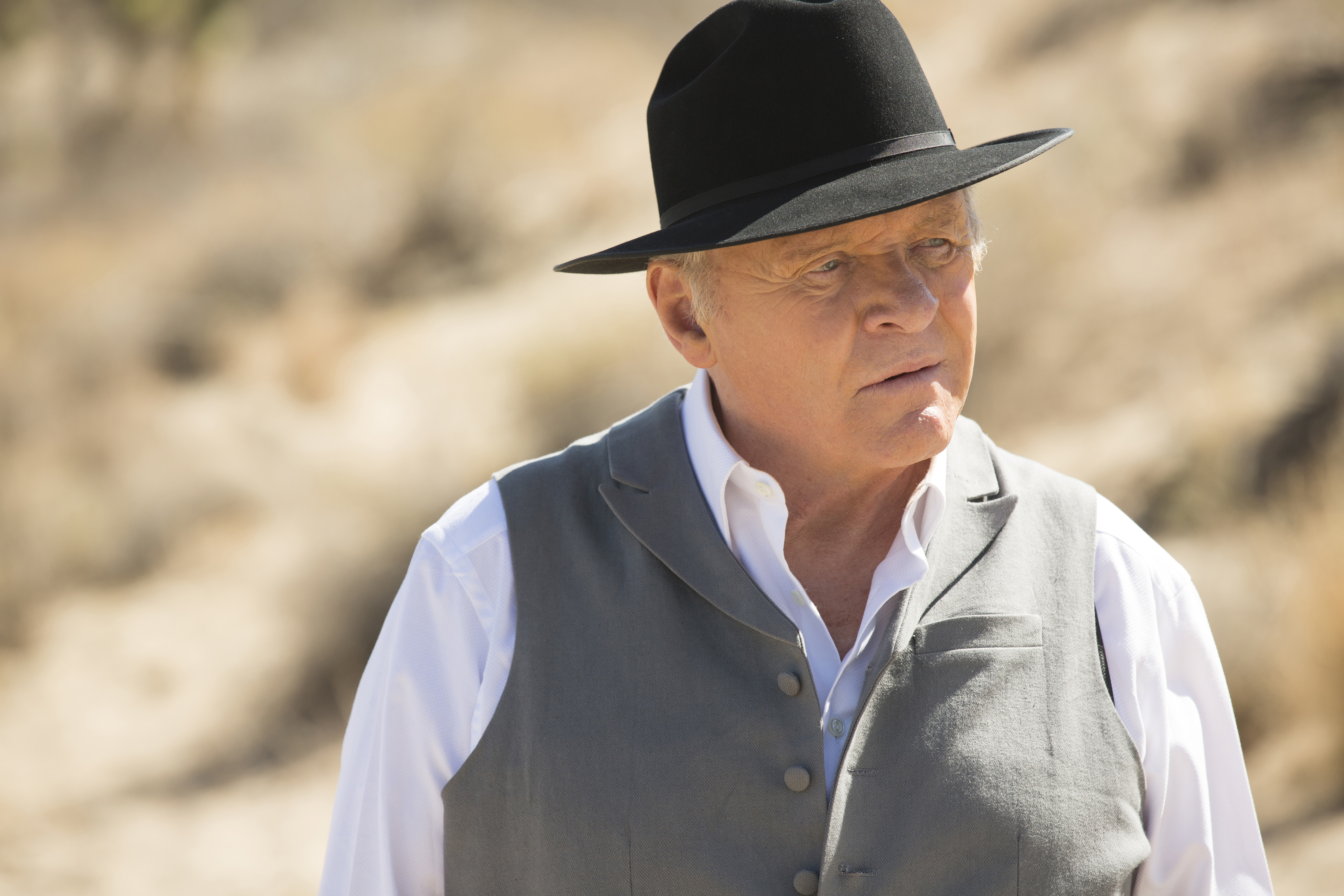 Anthony Hopkins as Doctor Robert Ford.