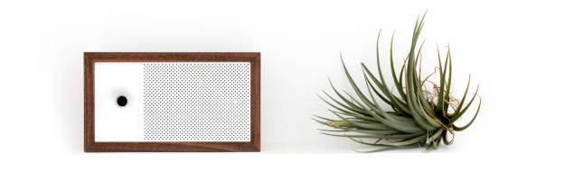 Plant is not included with purchase.