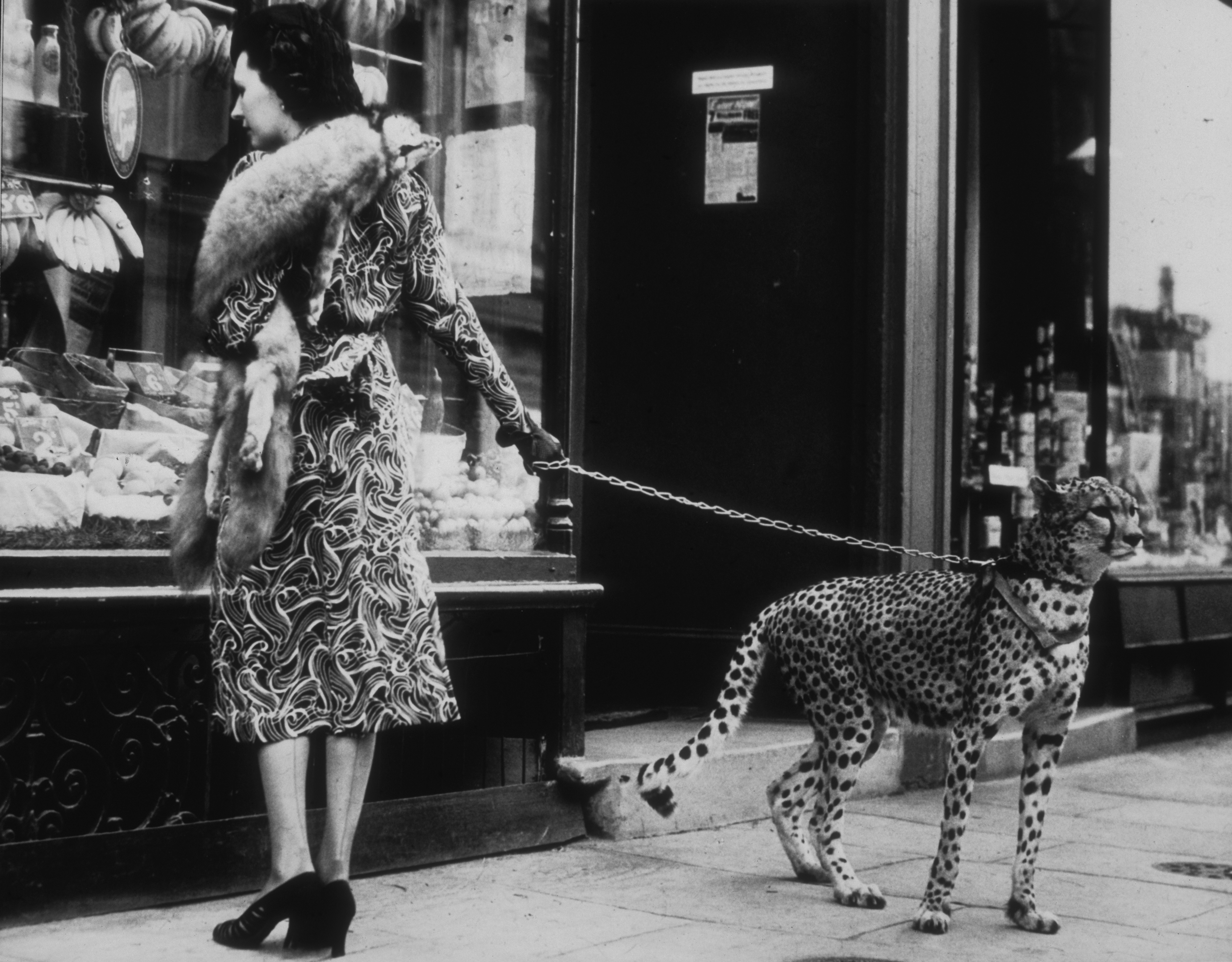 Don't get into a cat fight on Black Friday.