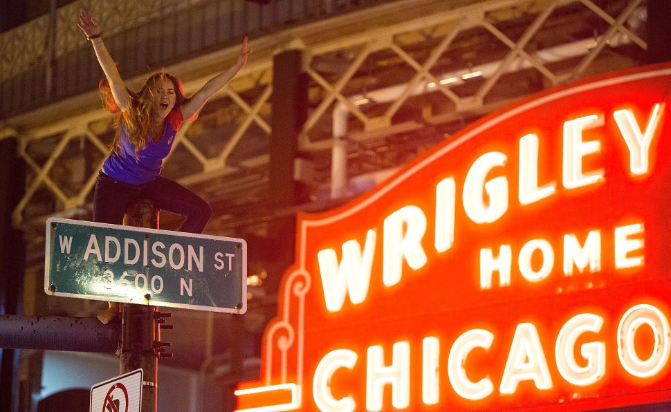 A Chicago Cubs fan sits on top a street pole. 