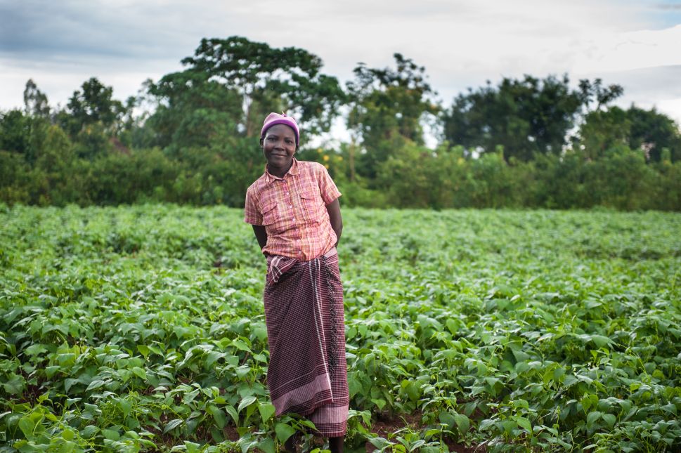 GiveDirectly recipient Rispa, in 2014. She used her cash transfers to improve her farm and add to her livestock.