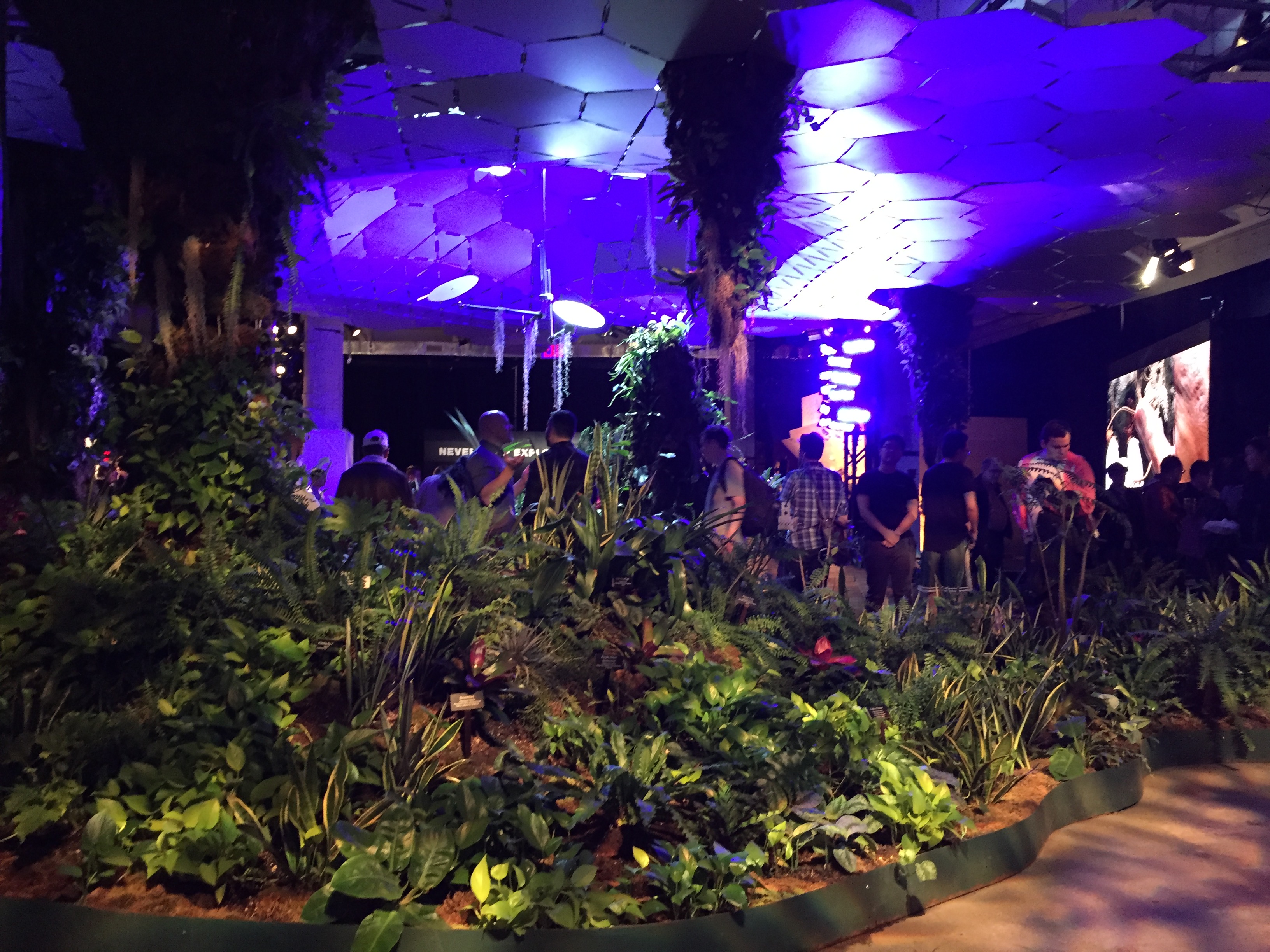 The Lowline Lab displays how plants will thrive underground when the Lowline park opens in the Essex Street subway.