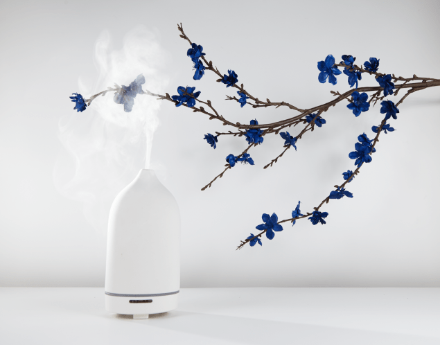 The Vitruvi diffuser.