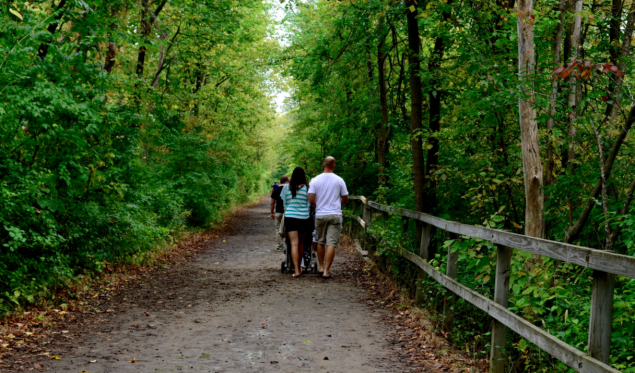 A walk in the woods