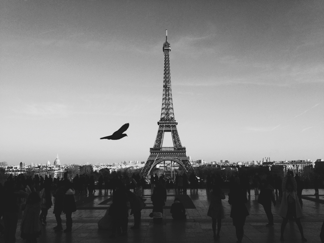 Lustig saw that as an opportunity and sold the Eiffel Tower again.