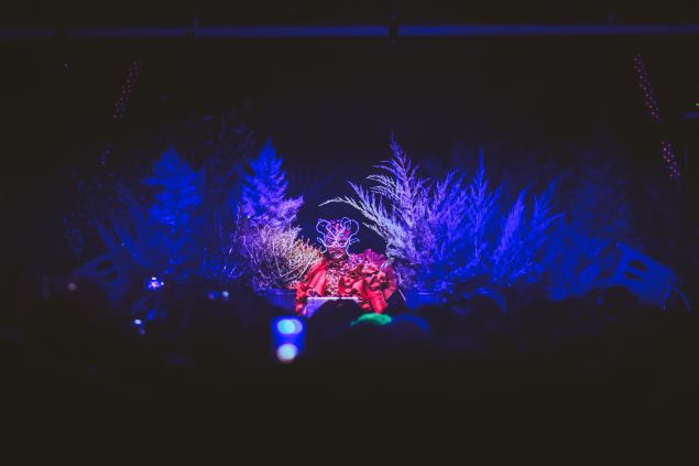Björk also played two DJ sets, largely obscured by plants