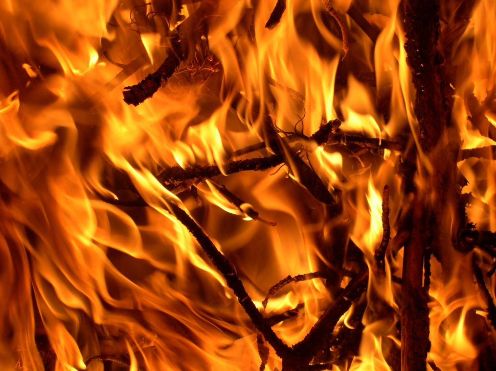 Understand that burning feeling down there.