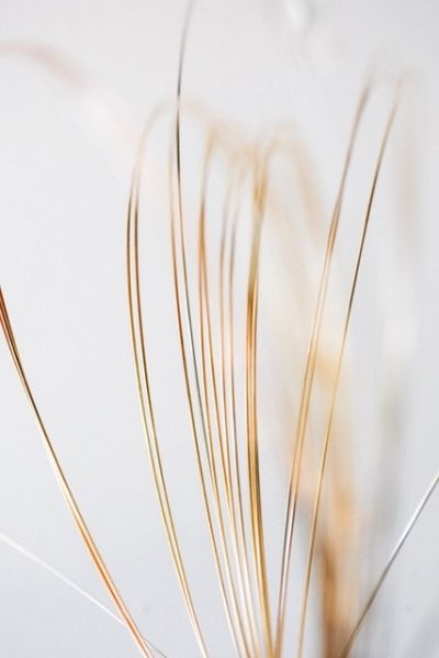 For Keefe, a gold wire is “as minimal and reductive to the essence of jewelry as it could be.”