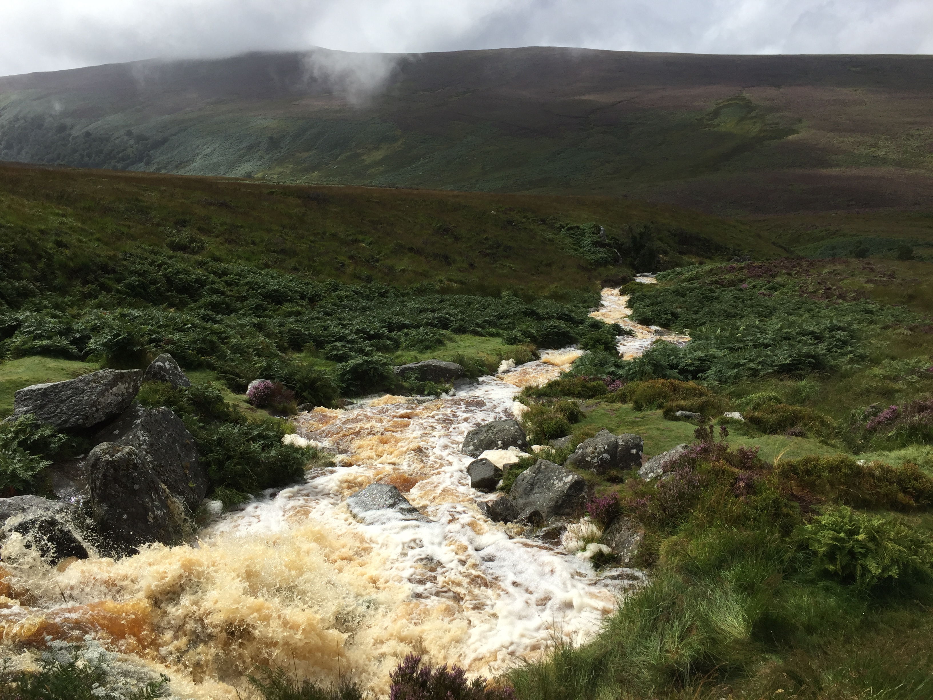 A very green place on planet Earth that I have seen with my own eyes (in Ireland).