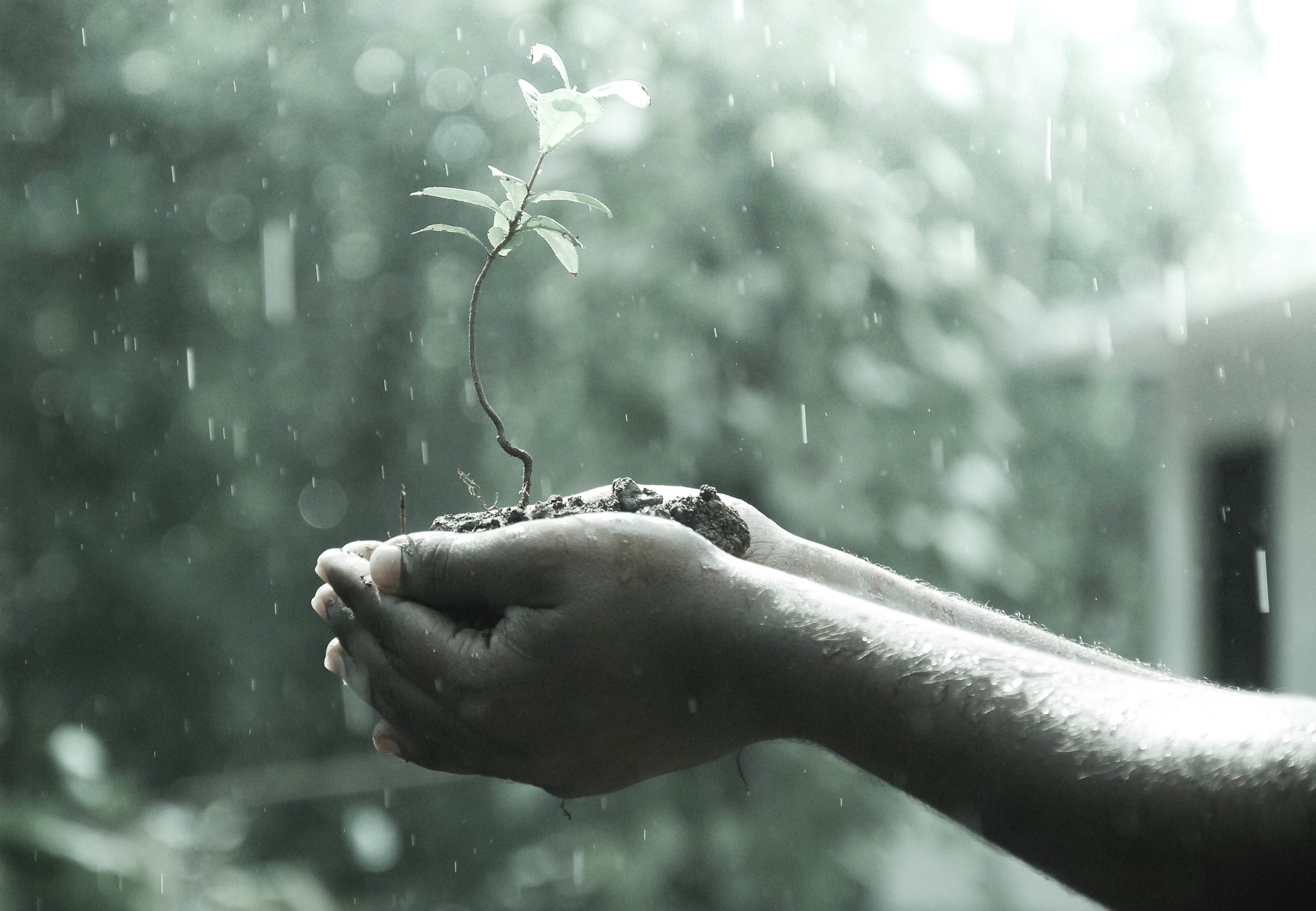 Rather than run away from crises, we need to think hard about the opportunities they present.