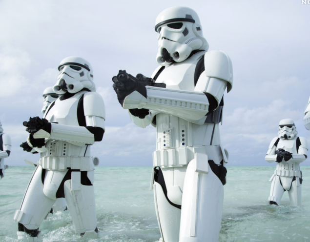 Just a casual Star Wars coconut hunt.