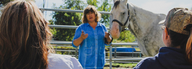 Mindy Tatz Chernoff leading an equine therapy session at her farm outside Philadelphia. 