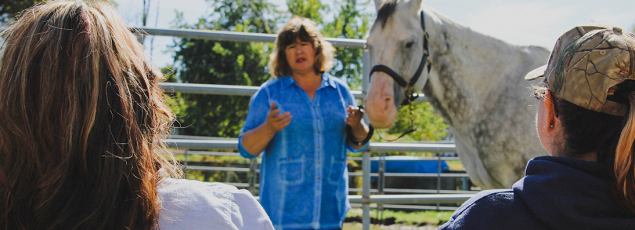 Mindy Tatz Chernoff leading an equine therapy session at her farm outside Philadelphia.