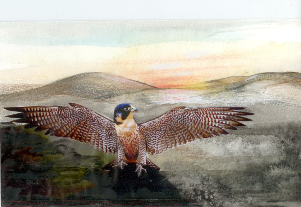 Inspiration: Brett Johnson