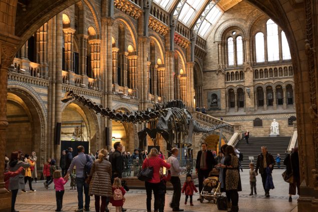 Members of the public walk around 'Dippy' the Diplodocus at Natural History Museum on January 4, 2017 in London, England. The 70ft long (21.3m) plaster-cast sauropod replica, which is made up of 292 bones, is set to leave the Natural History Museum in London, where it has been for 109 years, before going on a national tour. Dippy will be replaced by an 83 foot long real skeleton of a Blue Whale, which will be hung from the ceiling.