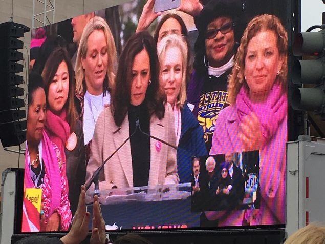 Female politicians at the Women's March on Washington.