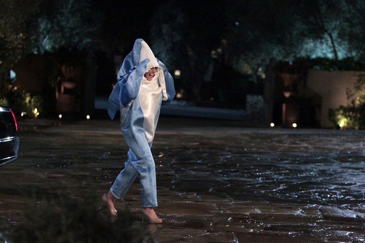 "I AM A DOLPHIN" - Alexis