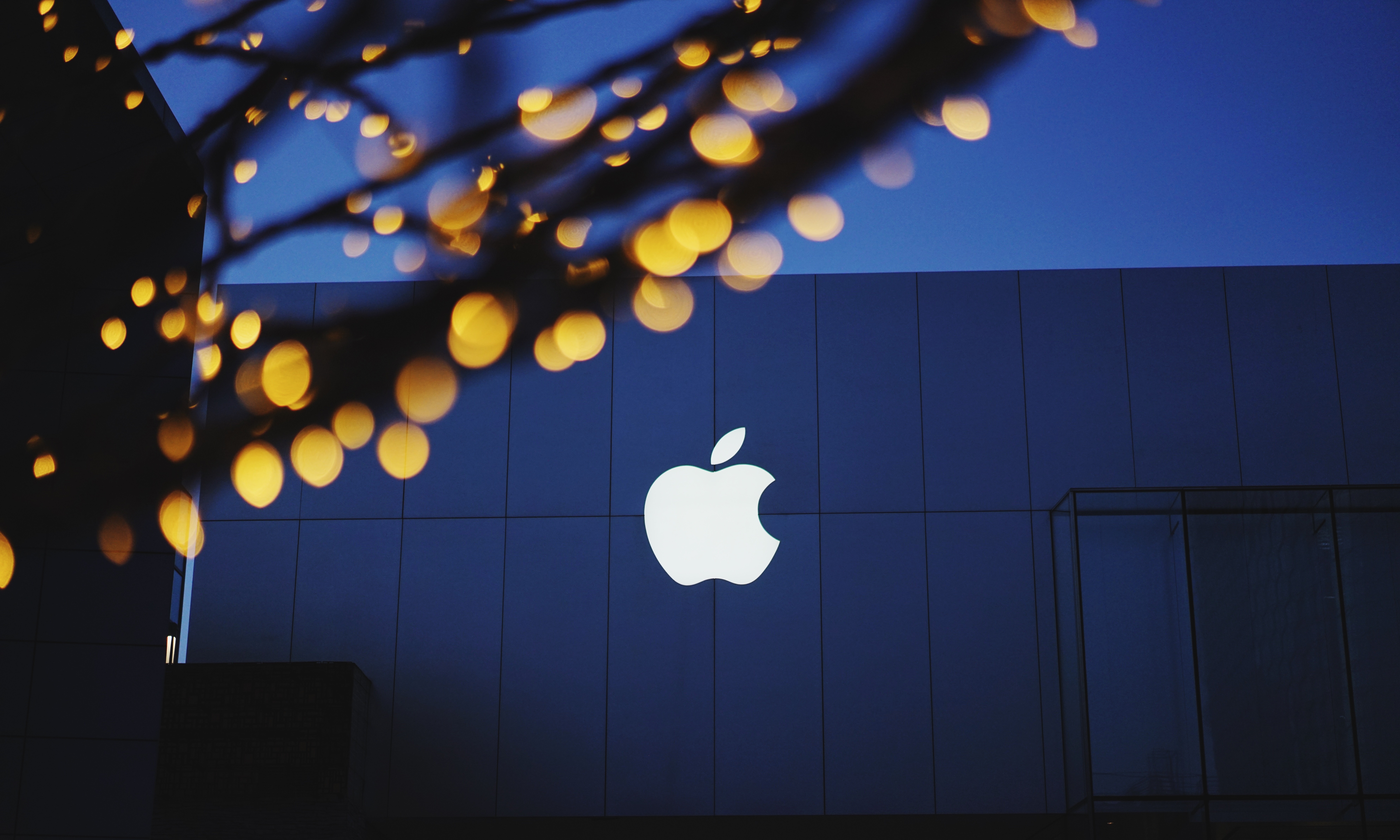 Steve Jobs didn't just give advice, he lived it.